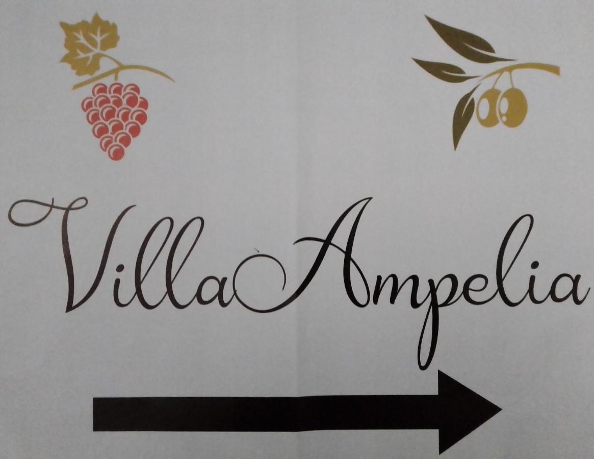 Villa Ampelia 锡蒂亚 外观 照片